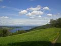 Klingenzell_Liebenfels_01_05_08 002